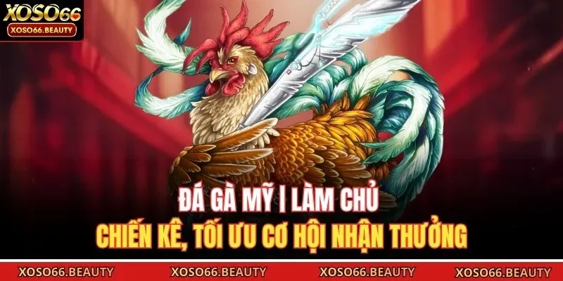 Đá gà Mỹ không chỉ mang lại niềm vui