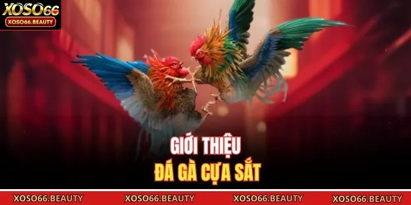 Giới thiệu đá gà cựa sắt 