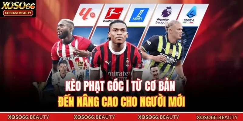 Kèo phạt góc là lựa chọn tối ưu