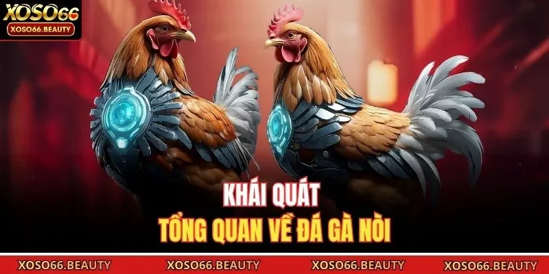 Khái quát tổng quan về đá gà nòi 