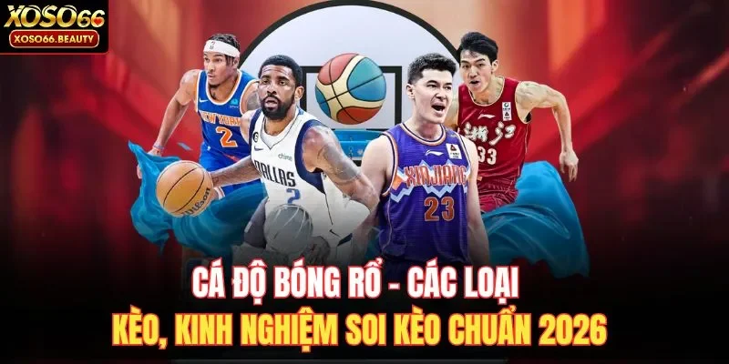 Cá độ bóng rổ là hình thức cược hấp dẫn