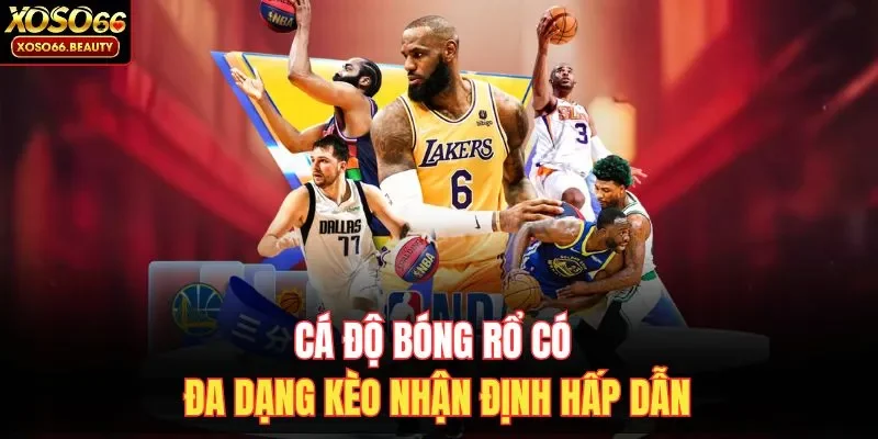 Cá độ bóng rổ có đa dạng kèo nhận định hấp dẫn