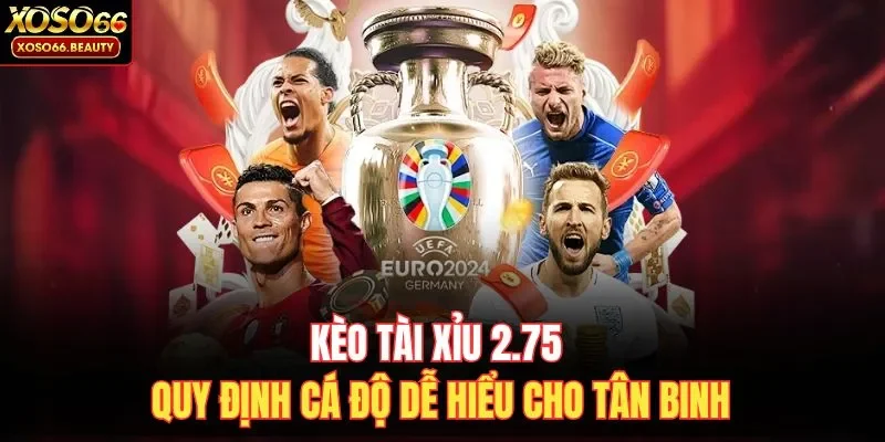 Kèo Tài Xỉu 2.75 quy định cá độ dễ hiểu cho tân binh 