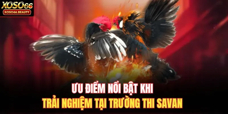 Ưu điểm nổi bật khi trải nghiệm tại trường thi Savan
